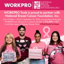 workpro-52-piece-pink-tools-set-househol-2.jpg