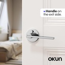 okun-valli-1-pack-chrome-privacy-door-le-4.jpg