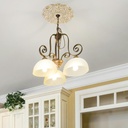 home-lighting-ceiling-medallion-decorati-4.jpg