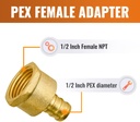 sungator-6-pack-12-pex-to-12-female-npt--2.jpg