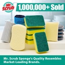 sponges-kitchen-scrub-dish-sponge-scouri-6.jpg