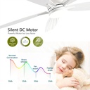 ceiling-fans-with-lights-52-low-profile--4.jpg
