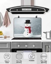 christmas-countertop-burners-protection--5.jpg