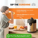 eurolux-electric-orange-juicer-sleek-eff-5.jpg