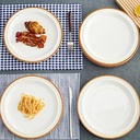 105-inch-porcelain-dinner-plate-set-of-6-4.jpg