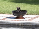 fire-sense-62242-fire-pit-degano-round-w-5.jpg