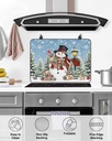 christmas-countertop-burners-protection--5.jpg