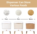 rice-dispenser-25-lbs---flour-and-rice-c-5.jpg
