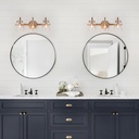 ksana-gold-bathroom-light-fixtures-3-lig-2.jpg