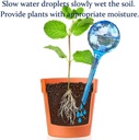 moonsound-self-watering-globes-for-plant-5.jpg