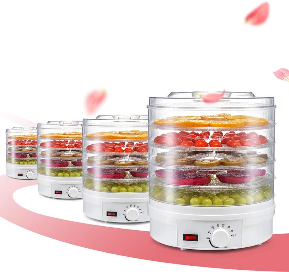 110v-anessoil-food-dehydrator-snacks-deh-2.jpg