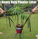 potted-plant-moveressential-plant-liftin-5.jpg