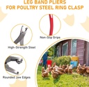 leg-band-pliers-chicken-leg-rings-pliers-3.jpg