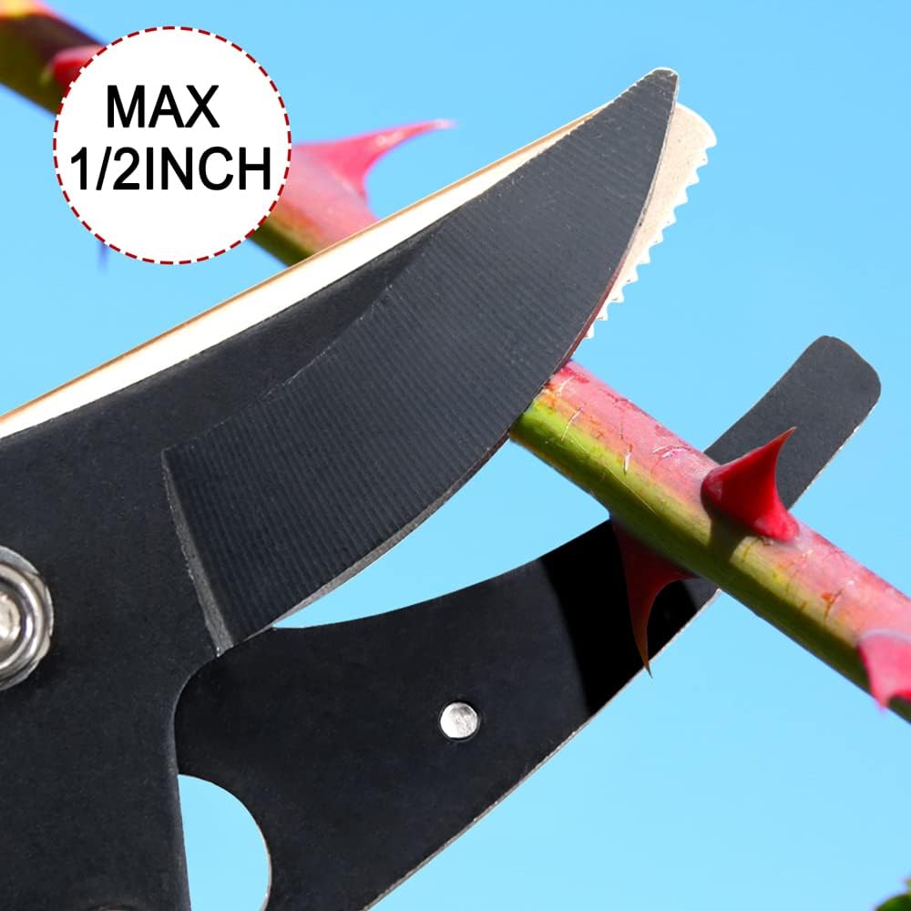 32-inch-cut-and-hold-pruners-long-reach--5.jpg