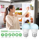 led-refrigerator-light-bulb-40-watt-equi-2.jpg