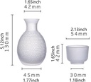 sake-pot-set-glass-sake-set-trendy-tradi-4.jpg