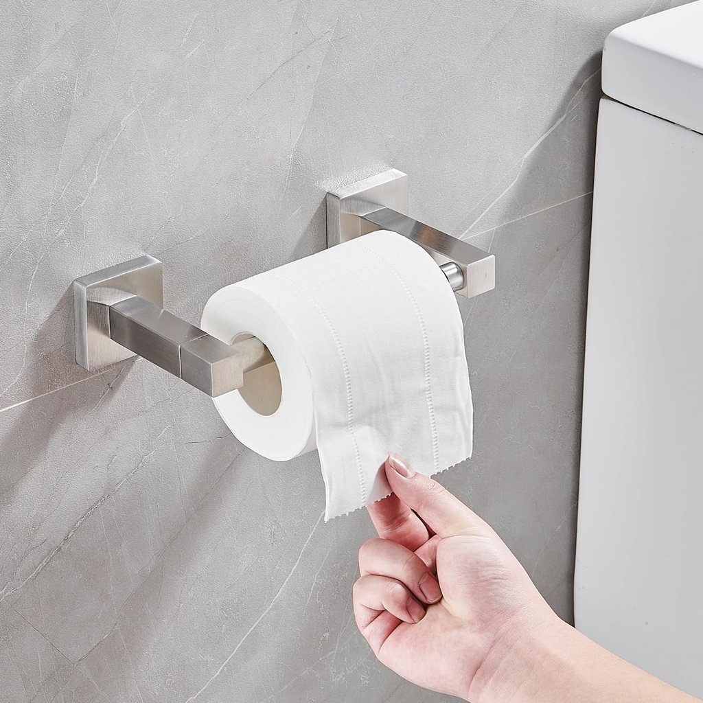generic-stainless-steel-toilet-paper-hol-3.jpg
