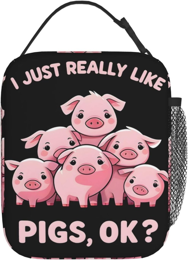 reusable-cute-pig-lunch-box-for-kids-ins-3.jpg