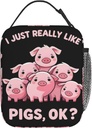 reusable-cute-pig-lunch-box-for-kids-ins-3.jpg