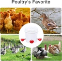 professional-chicken-waterer-cups-8-pack-6.jpg