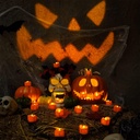 halloween-12-pack-orange-tea-lights-smal-4.jpg