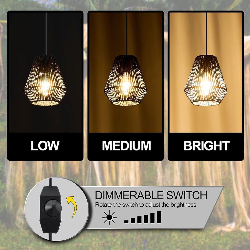 plug-in-pendant-lighthanging-lights-fixt-3.jpg