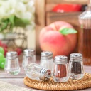 100-pack-mini-salt-and-pepper-shakers-bu-5.jpg