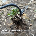 wmm-weed-puller-tool-gardening-tools-set-4.jpg