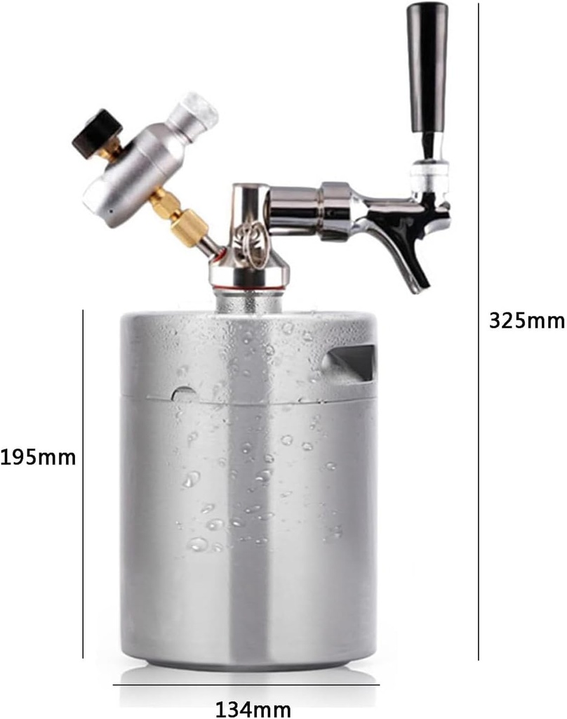 2l-mini-beer-barrel-pressurized-double-w-5.jpg