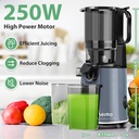 aeitto-juicer-machines-cold-press-juicer-3.jpg
