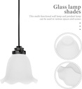 generic-glass-lamp-shade-small-lamp-shad-6.jpg
