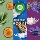 air-wick-scented-oils-05-white-sage-maho-6.jpg