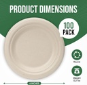 paper-plates-6-inches-100-pack-disposabl-2.jpg