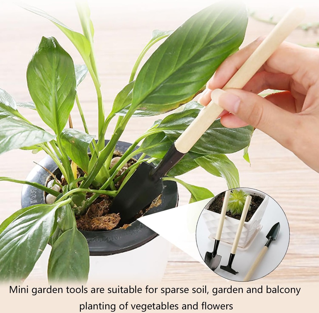3pcs-mini-gardening-tool-set-with-wooden-6.jpg