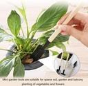 3pcs-mini-gardening-tool-set-with-wooden-6.jpg