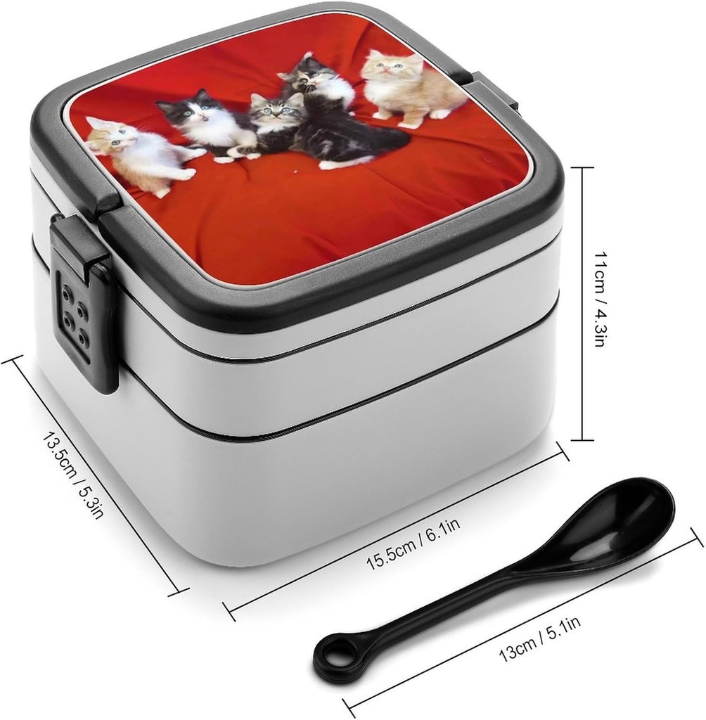 cat-bento-box-adult-lunch-box-all-in-one-2.jpg