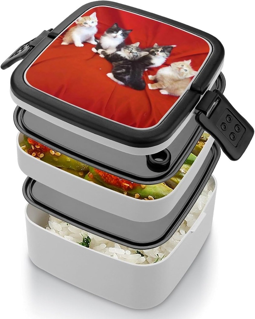 cat-bento-box-adult-lunch-box-all-in-one-4.jpg