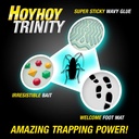 hoy-hoy-trap-a-roach---10-traps-2-pack-b-4.jpg