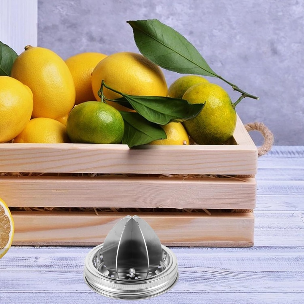 cabilock-stainless-steel-manual-citrus-j-5.jpg