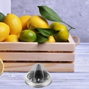 cabilock-stainless-steel-manual-citrus-j-5.jpg