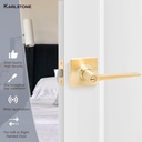 karlstone-1-pack-gold-door-handle-lockbr-2.jpg