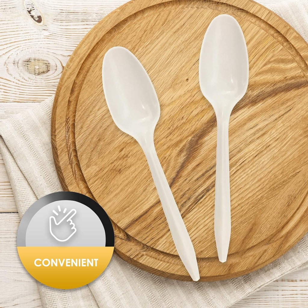 pami-bulk-plastic-spoons-1000-count-disp-4.jpg