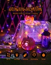 66ft-purple-orange-halloween-lights-outd-2.jpg