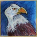 cafepress-bald-eagle-bird-art-18x18-reus-2.jpg