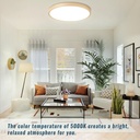 gold-12inch-28w-5000k-led-ceiling-light--4.jpg