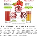 hyuromu-slow-juicer-white-hqwwa12-6.jpg
