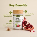 snap-supplements-heart-health-support-su-5.jpg
