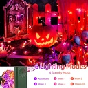 halloween-lights-33ft-100-led-battery-st-4.jpg