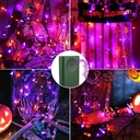 halloween-lights-33ft-100-led-battery-st-6.jpg