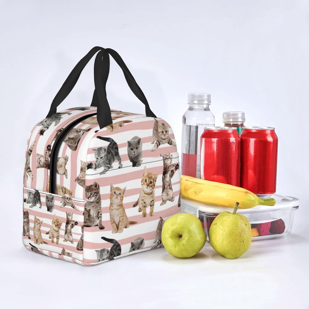 insulated-lunch-bag-water-resistant-cool-5.jpg